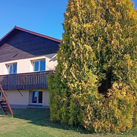 Vila Marianna Destne v Orlickych horach Bagian luar foto
