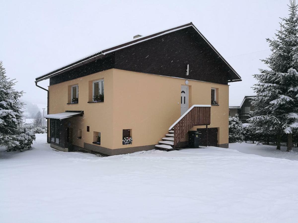 Vila Marianna Destne v Orlickych horach Bagian luar foto
